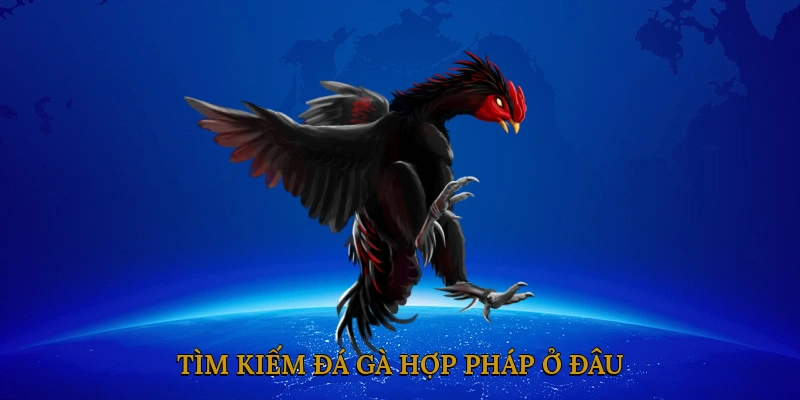 Tìm Kiếm Đá Gà Hợp Pháp Ở Đâu?