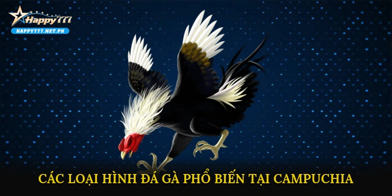 Các loại hình đá gà phổ biến tại Campuchia