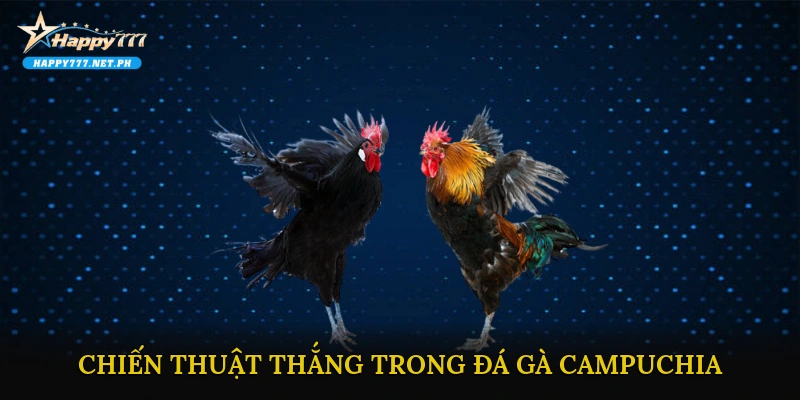 Chiến thuật tăng tỷ lệ thắng trong Đá gà Campuchia